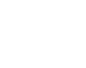 slingshot